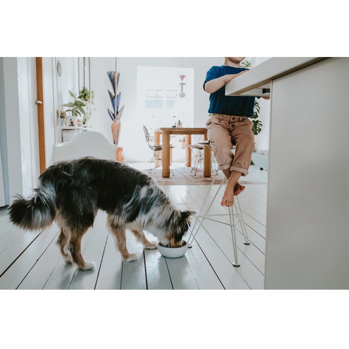 Hunter keramik Lund hunde skål 1500 ml Beige